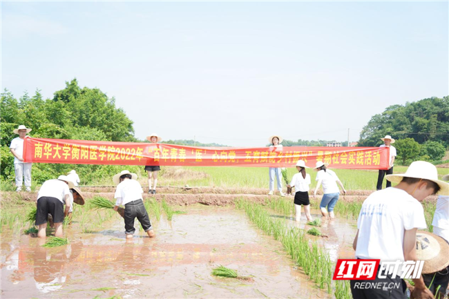 图片1_副本.png